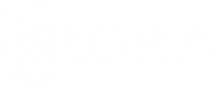 Bora Logo